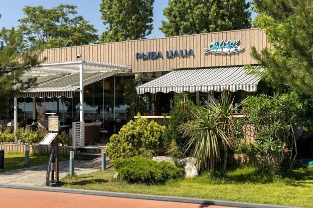 Переход на iiko ресторана “Рыба ЦаЦа”, г.Сочи