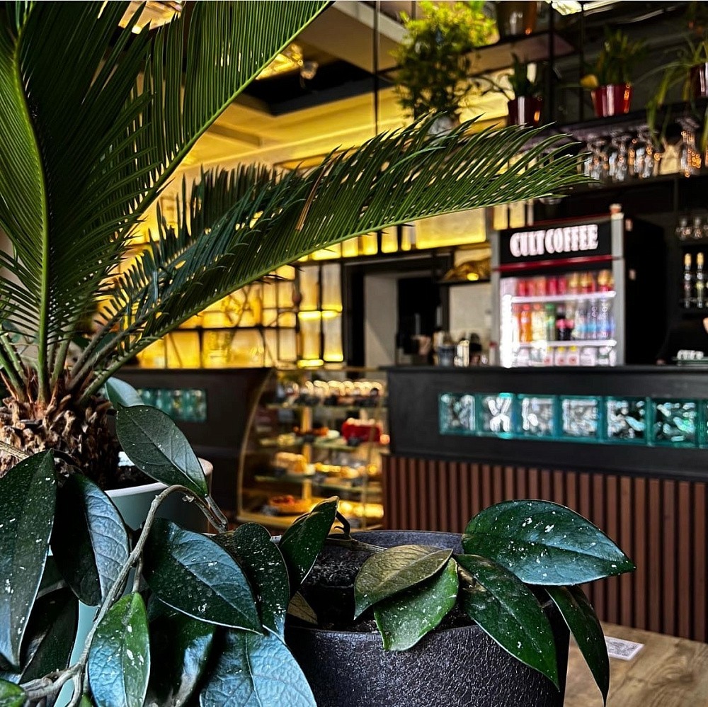 Бесшовный переход кофейни CULT COFEE в Лугансе с LifeTime на облачную версию iikoCloud